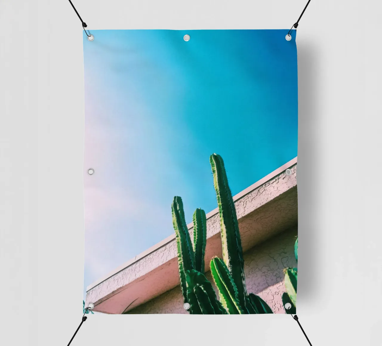 1 telo in pvc da Pink California | Affiches & Posters