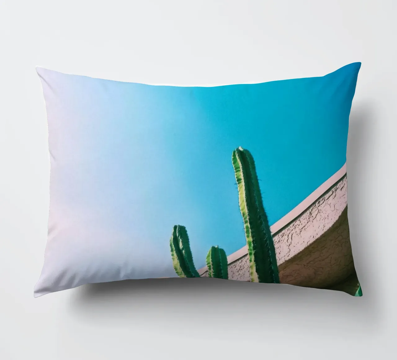 1 cuscino da Pink California | Affiches & Posters