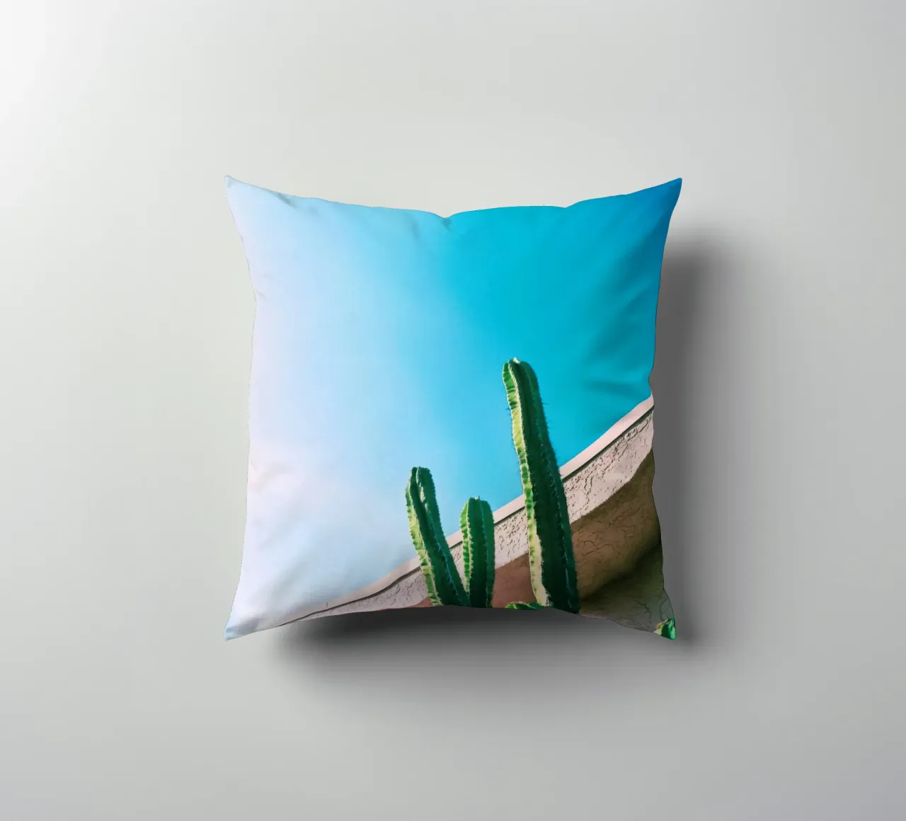 1 cuscino da Pink California | Affiches & Posters