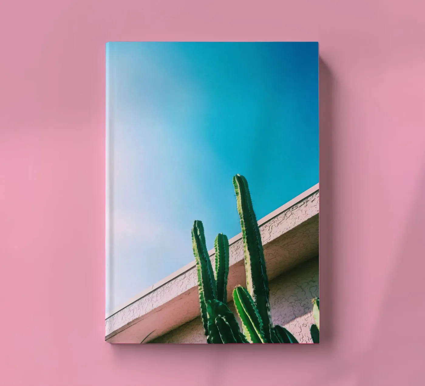 1 notebook by Pink California | Affiches & Posters