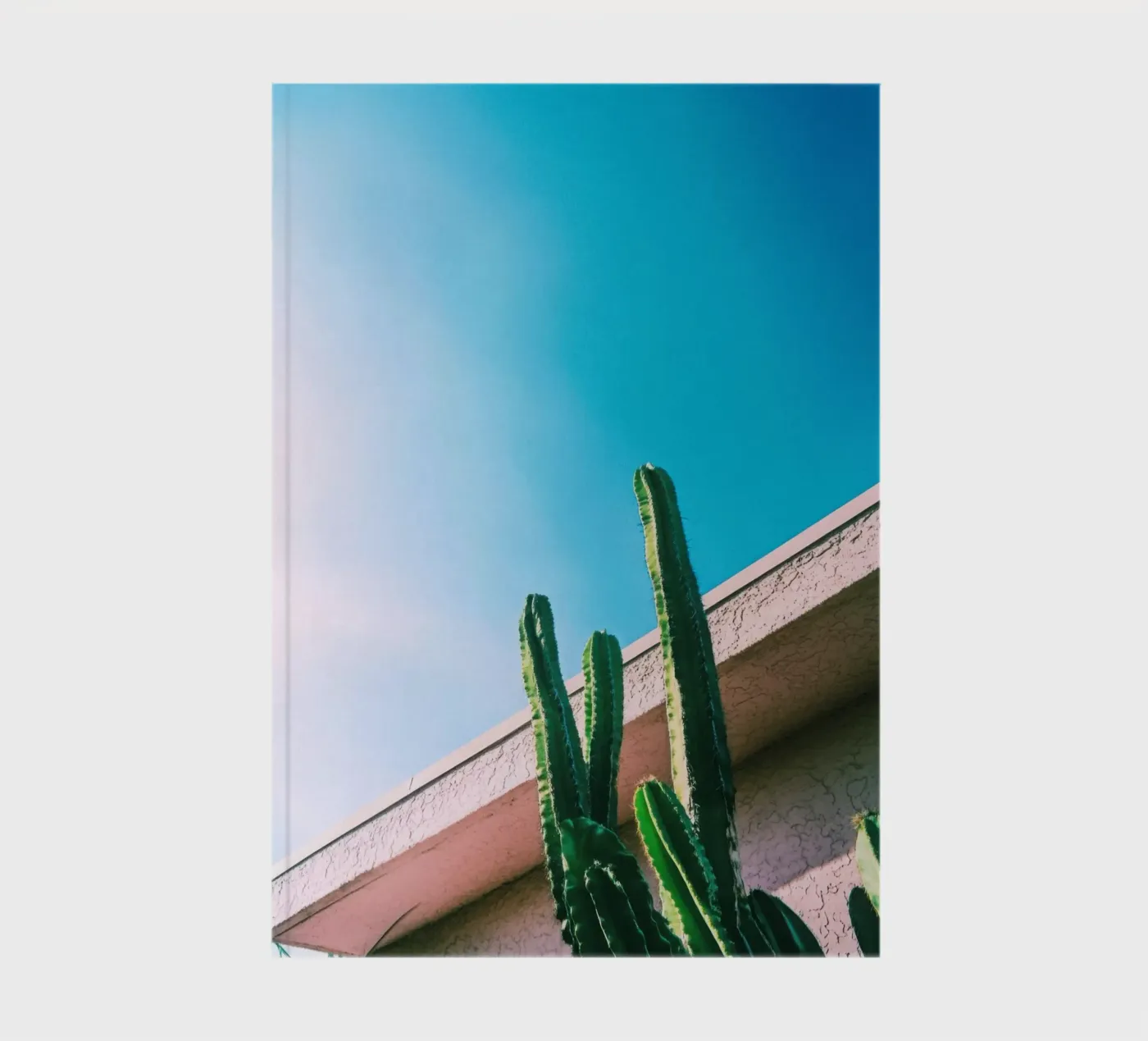 1 notebook by Pink California | Affiches & Posters