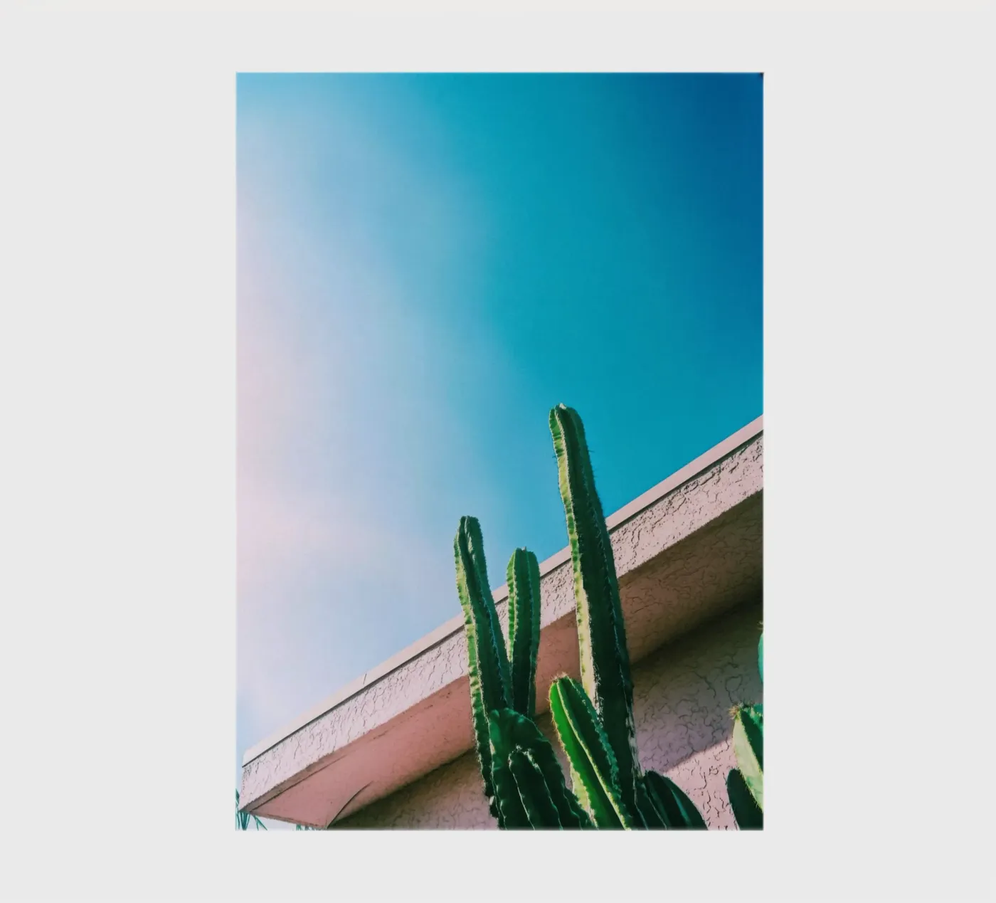 1 notebook by Pink California | Affiches & Posters