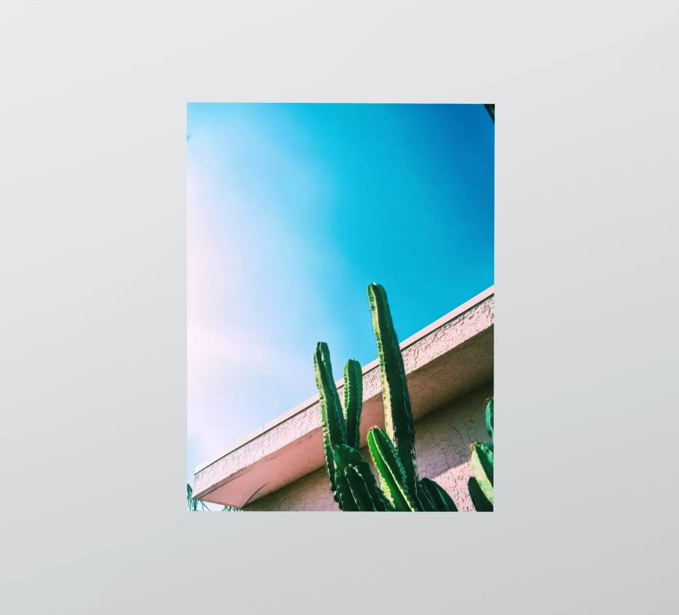 1 sticker van Pink California | Affiches & Posters