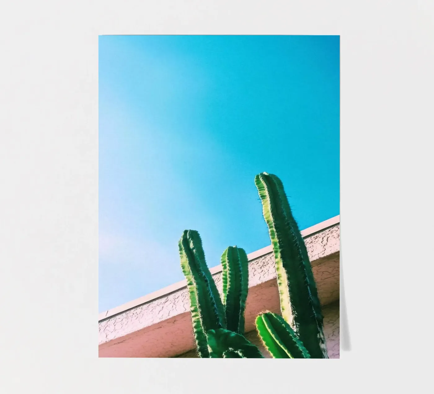 1 stickervel van Pink California | Affiches & Posters