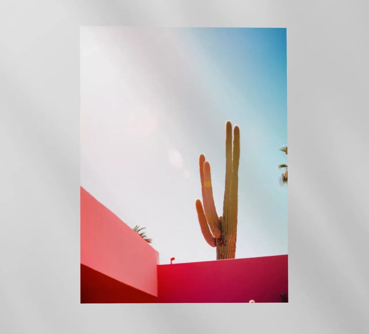 2 pellicola backlit da Pink California | Affiches & Posters