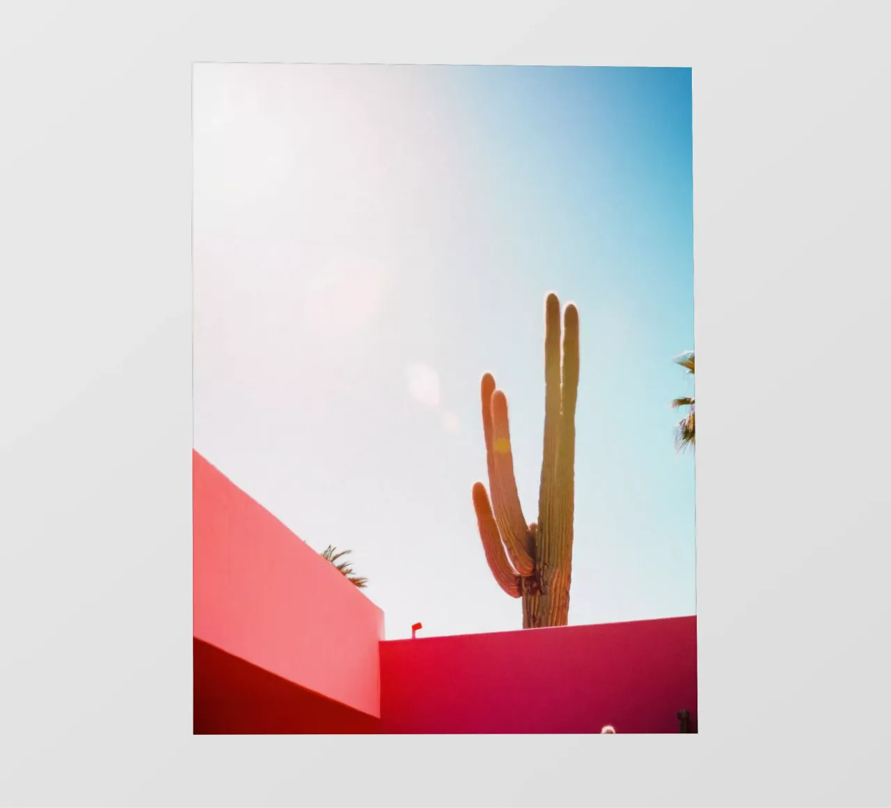 2 fotobehang van Pink California | Affiches & Posters