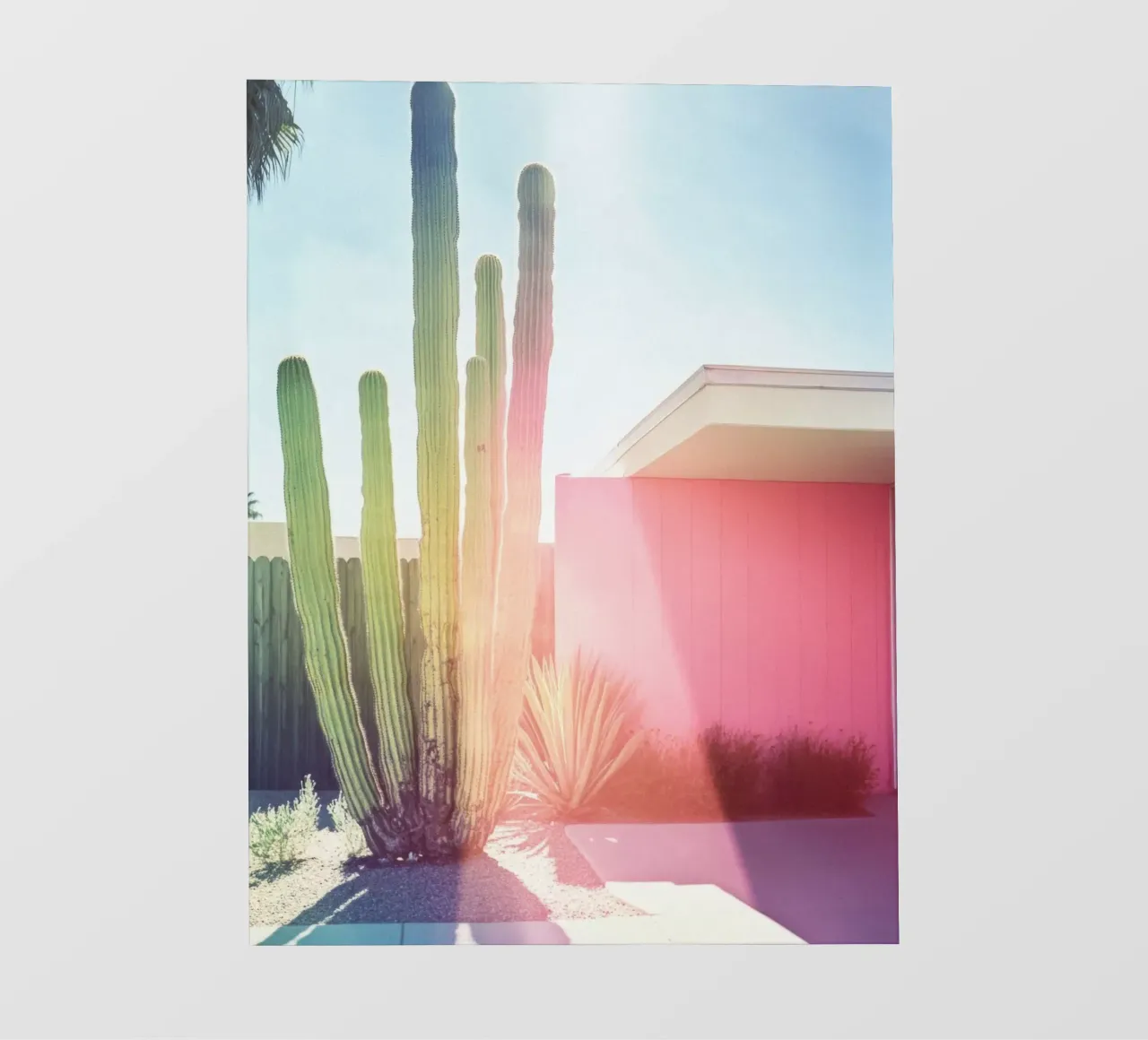 3 fotobehang van Pink California | Affiches & Posters