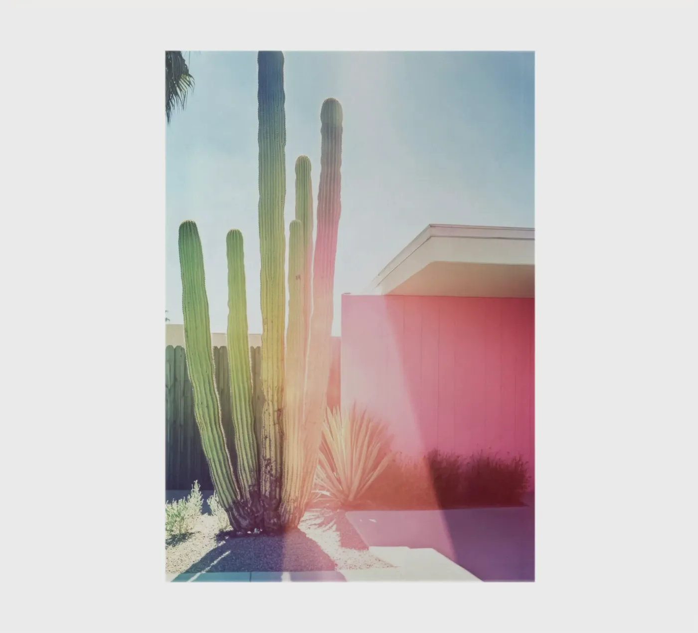 3 notebook by Pink California | Affiches & Posters