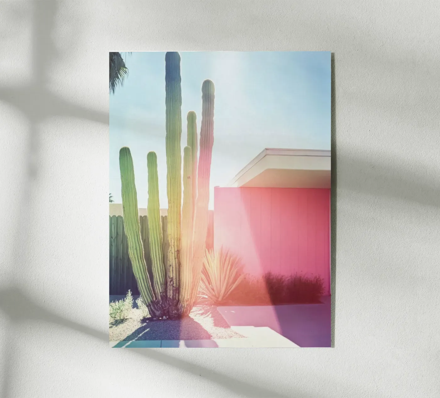 3 plexiglass da Pink California | Affiches & Posters
