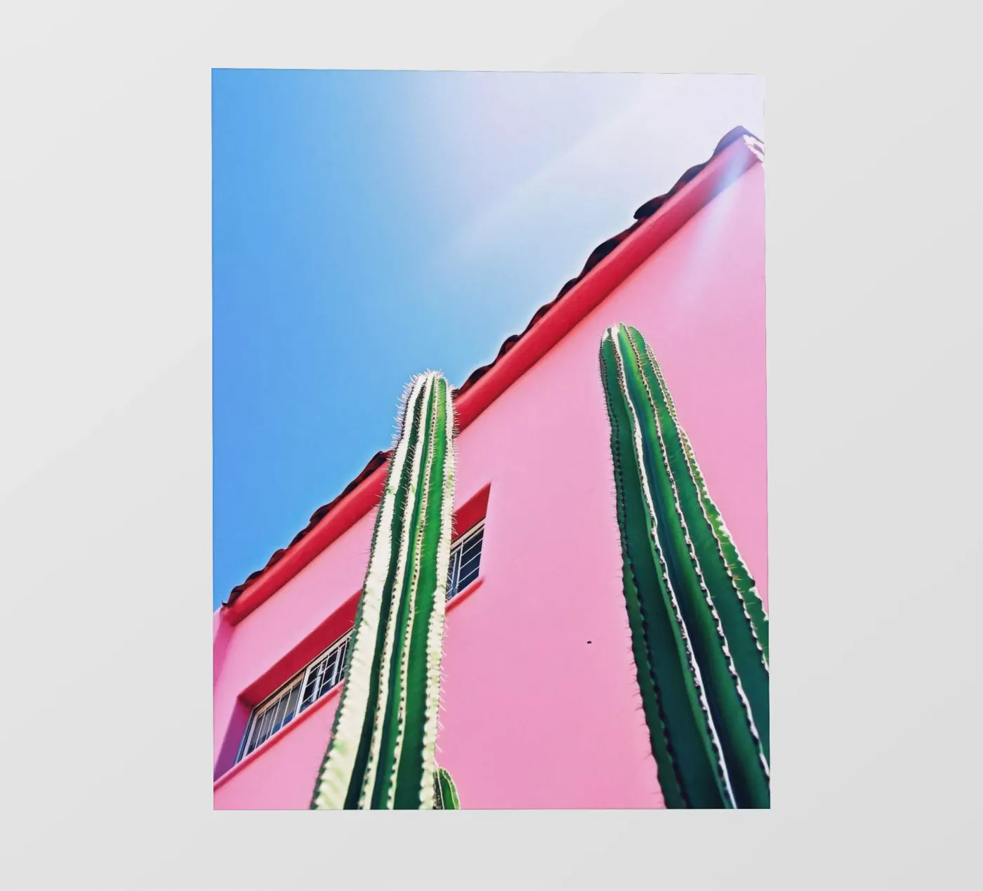 5 pellicola backlit da Pink California | Affiches & Posters