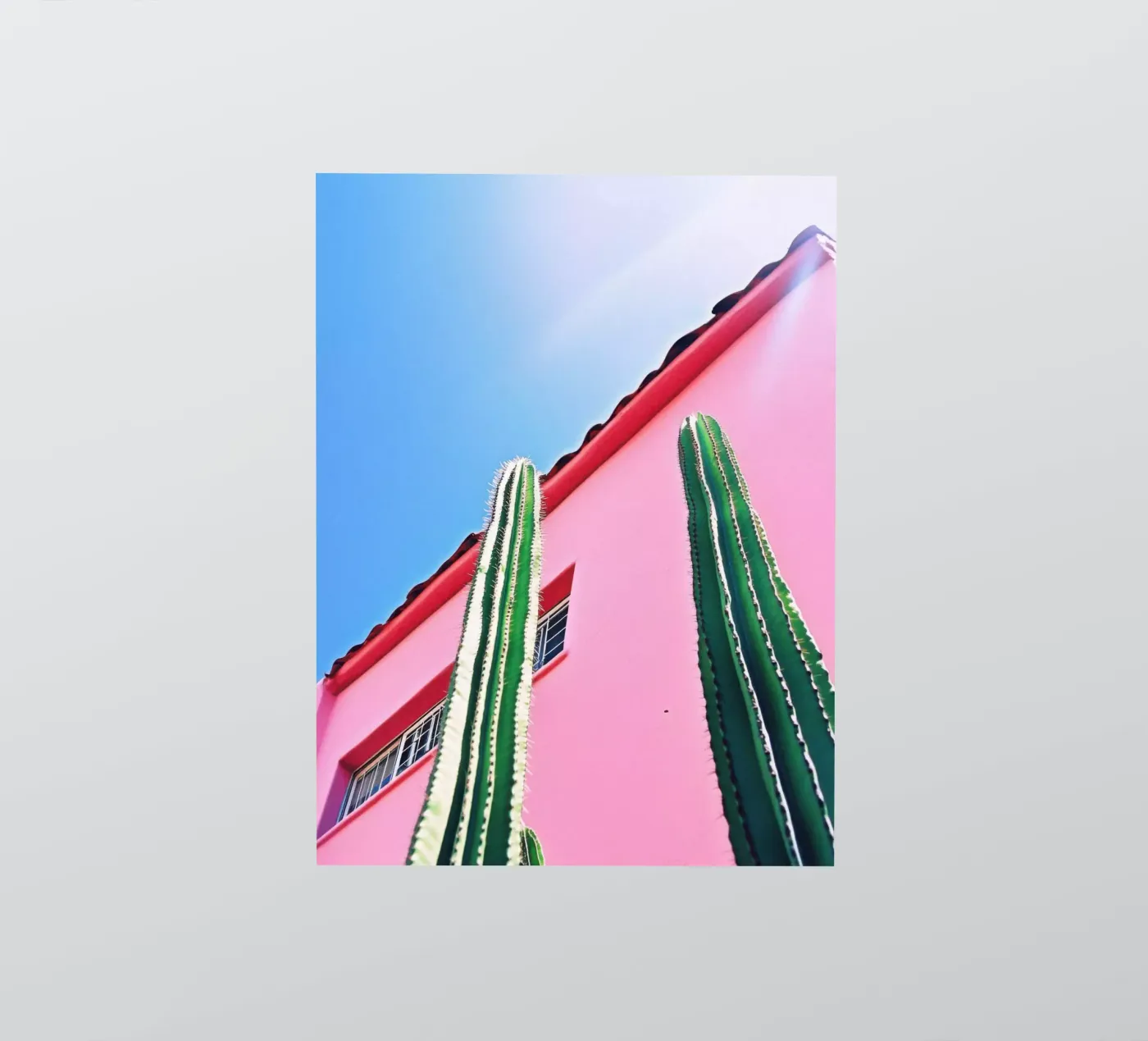 5 sticker by Pink California | Affiches & Posters