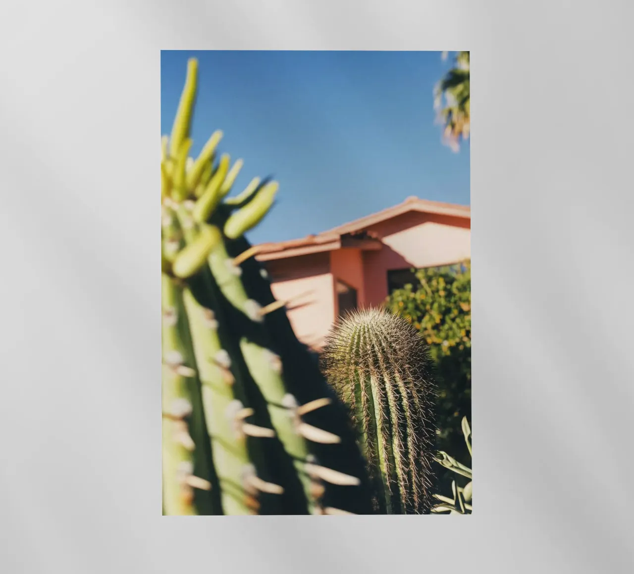 6 pellicola backlit da Pink California | Affiches & Posters