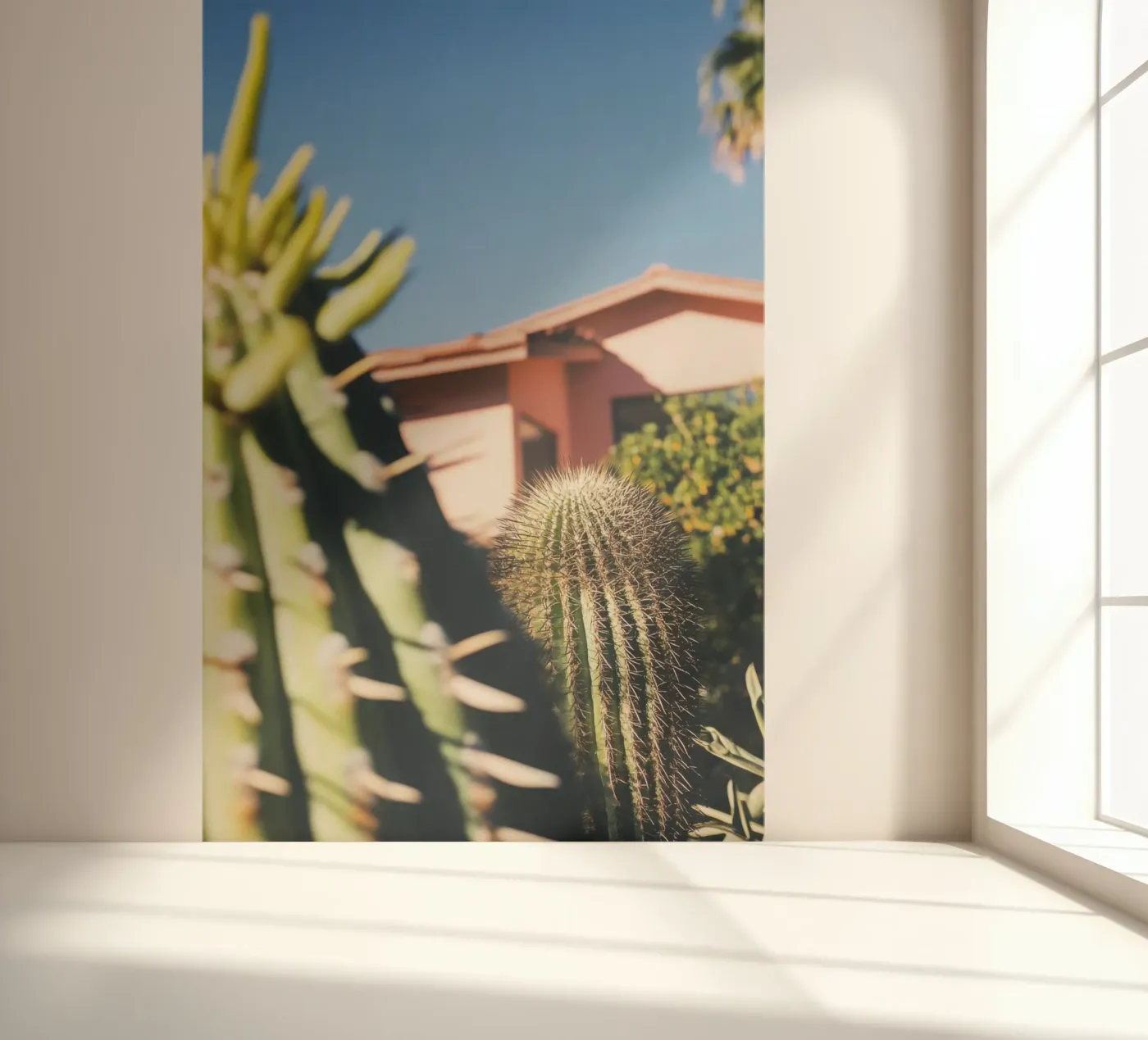 6 fotobehang van Pink California | Affiches & Posters