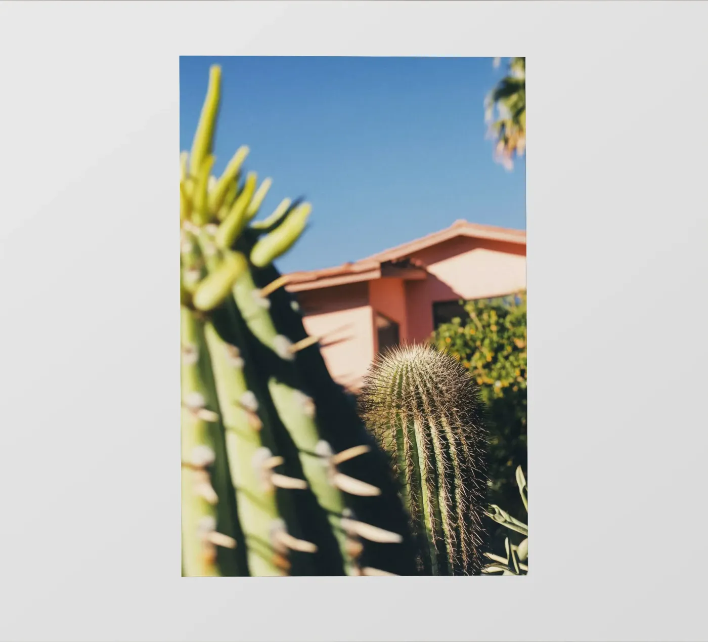 6 fotobehang van Pink California | Affiches & Posters