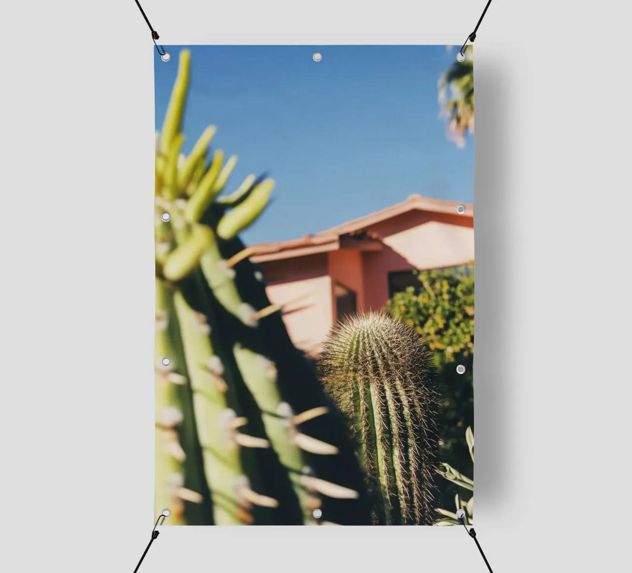 6 telo in pvc da Pink California | Affiches & Posters