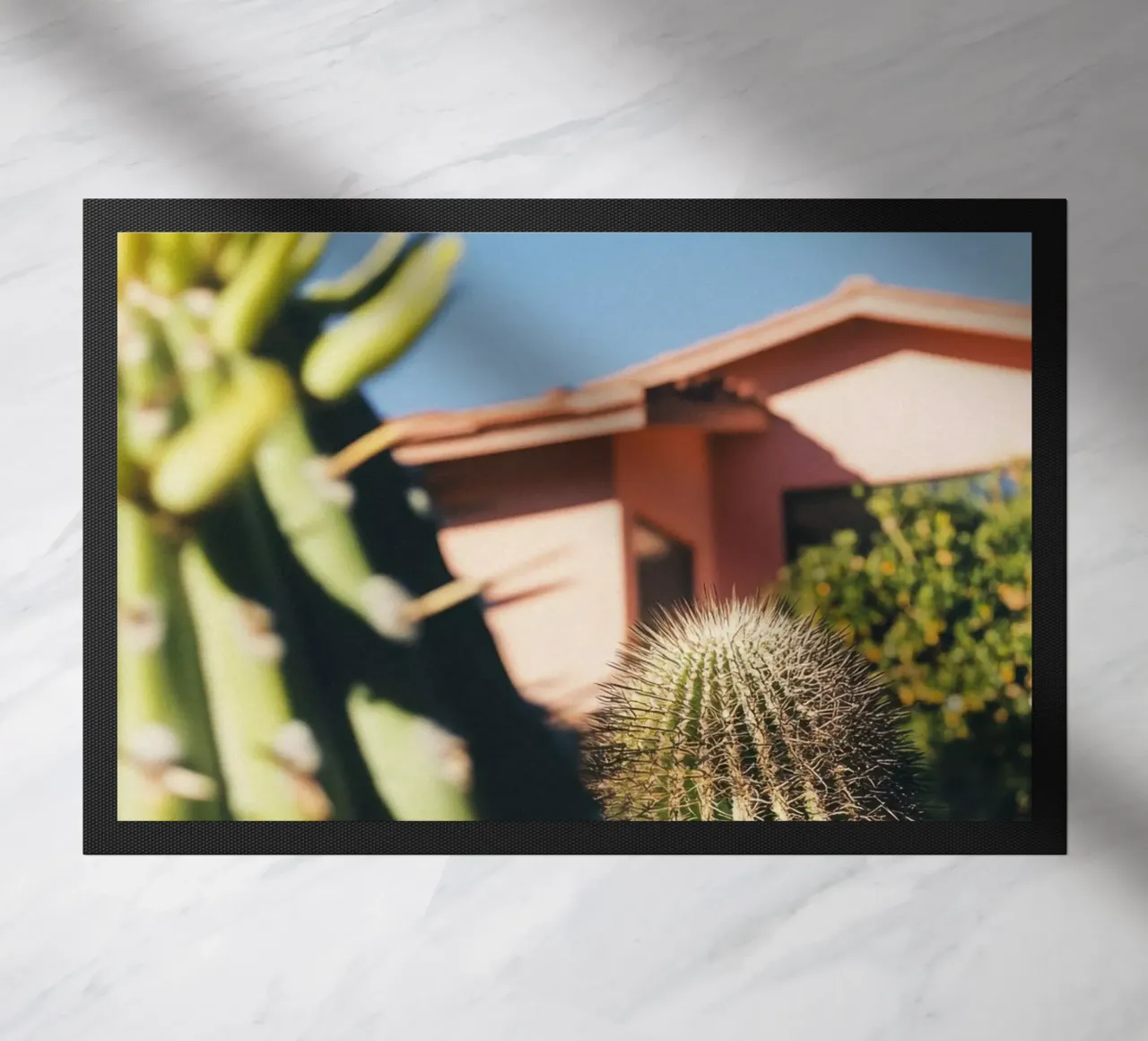 6 zerbino da Pink California | Affiches & Posters