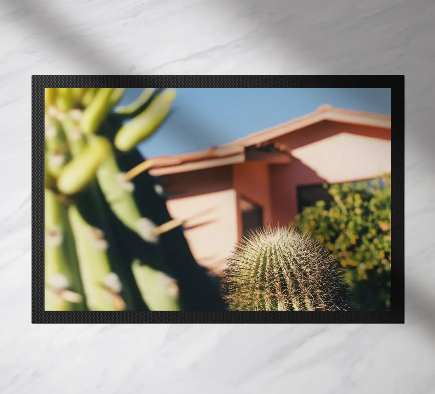 6 zerbino da Pink California | Affiches & Posters