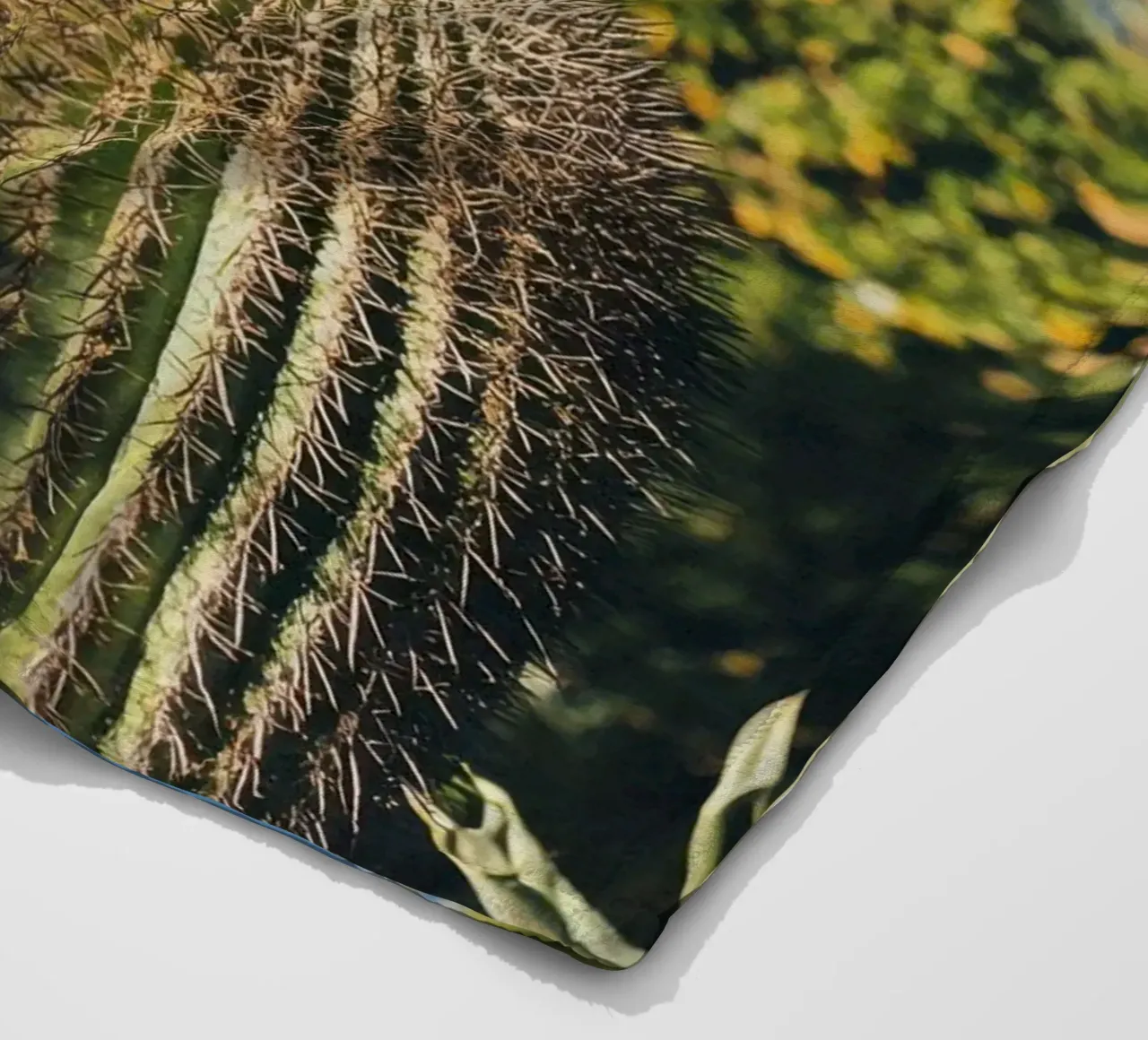 6 fleecedeken van Pink California | Affiches & Posters