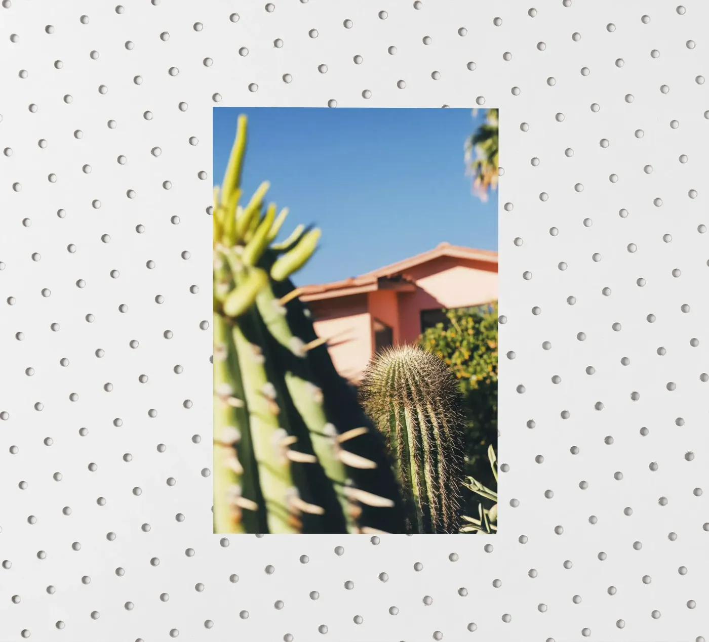 6 sticker van Pink California | Affiches & Posters