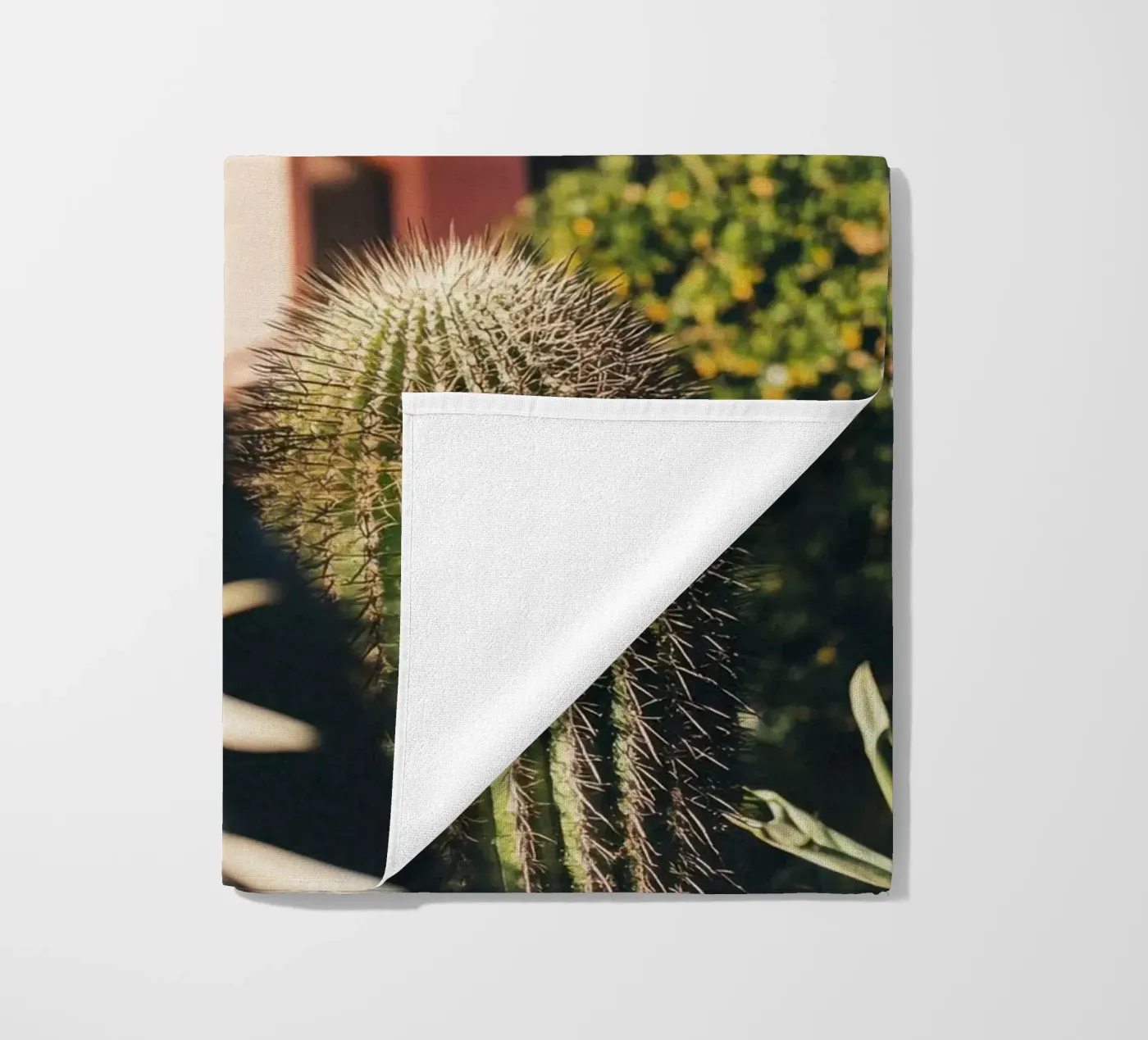 6 telo mare da Pink California | Affiches & Posters