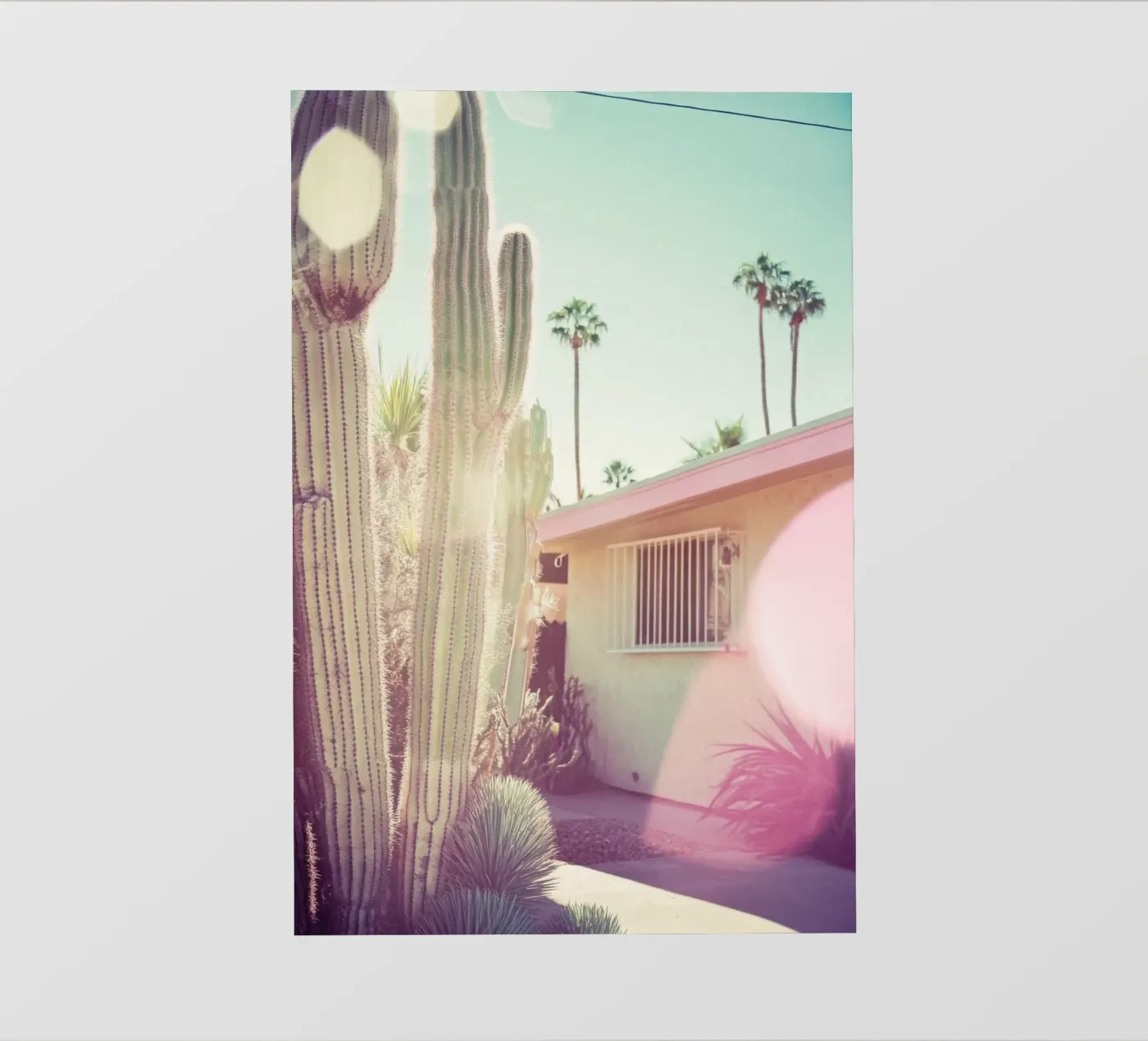 7 fotobehang van Pink California | Affiches & Posters