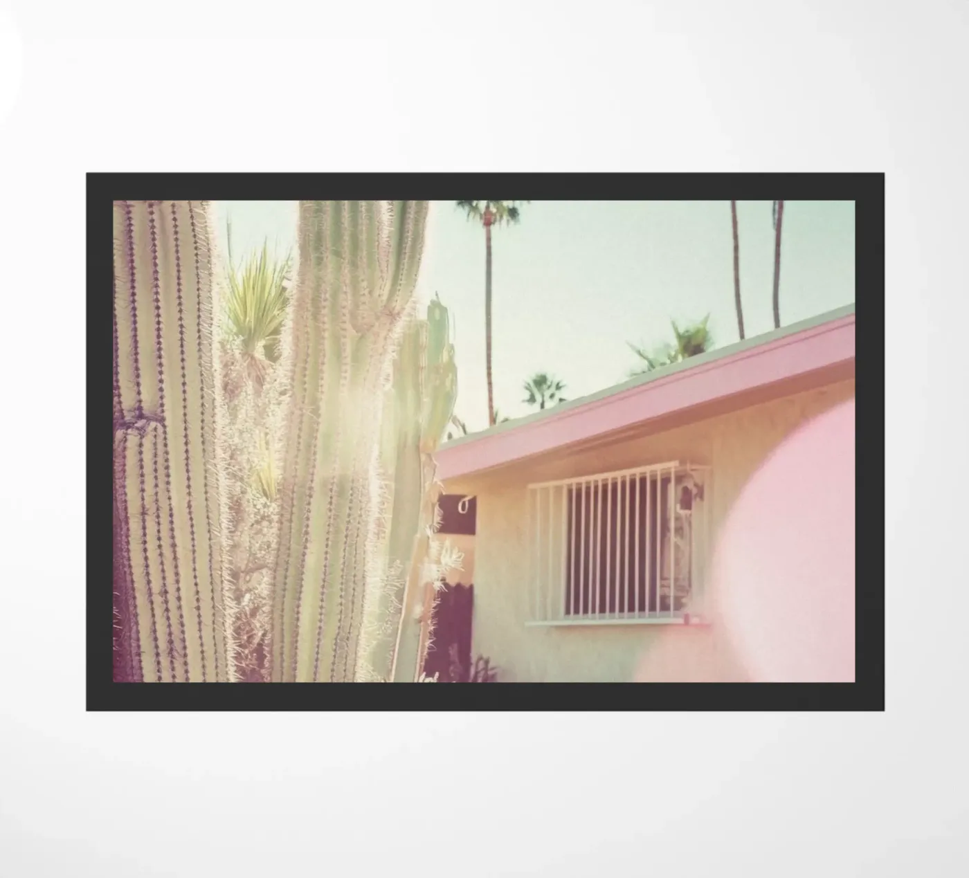 7 zerbino da Pink California | Affiches & Posters