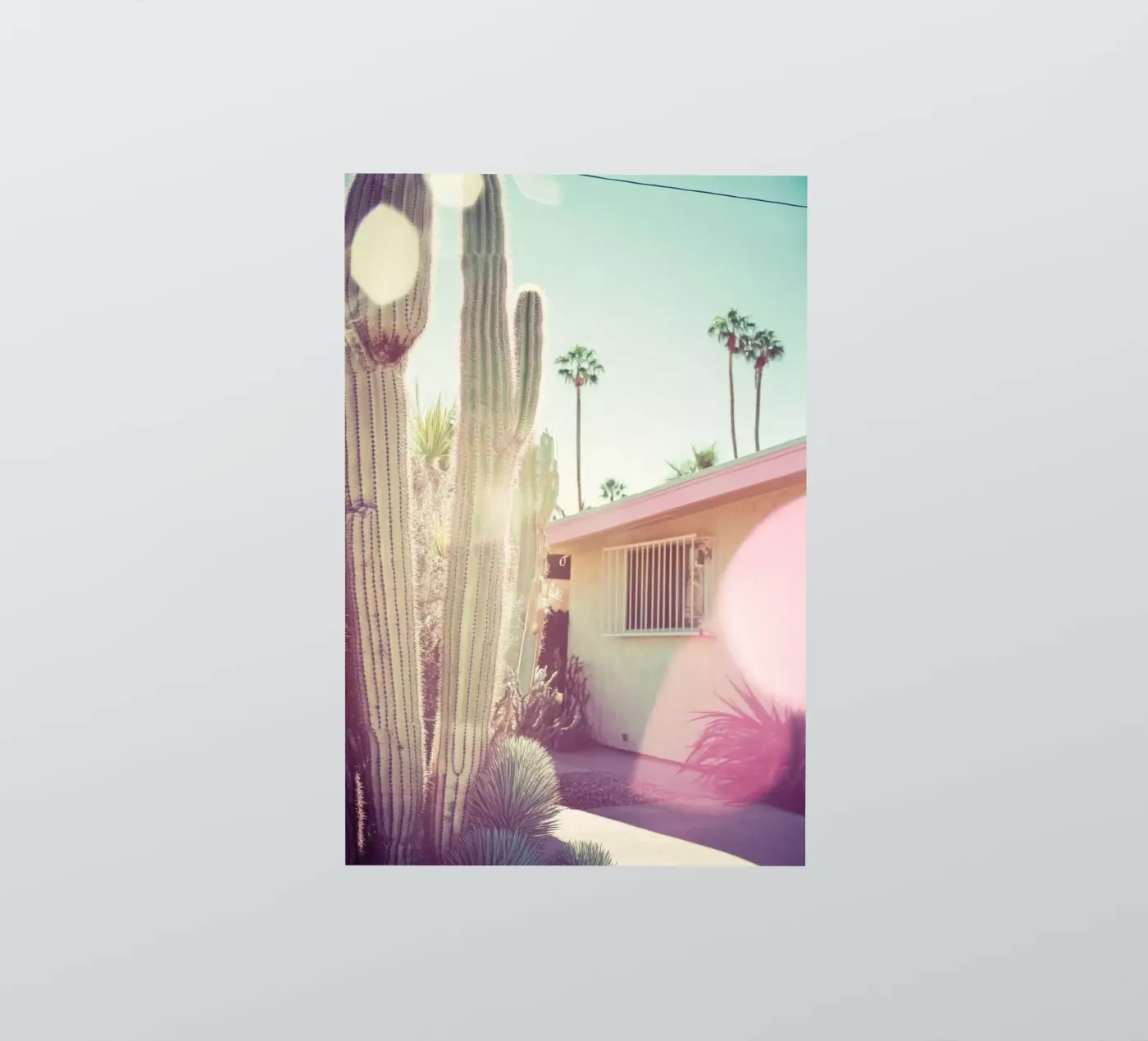 7 sticker by Pink California | Affiches & Posters