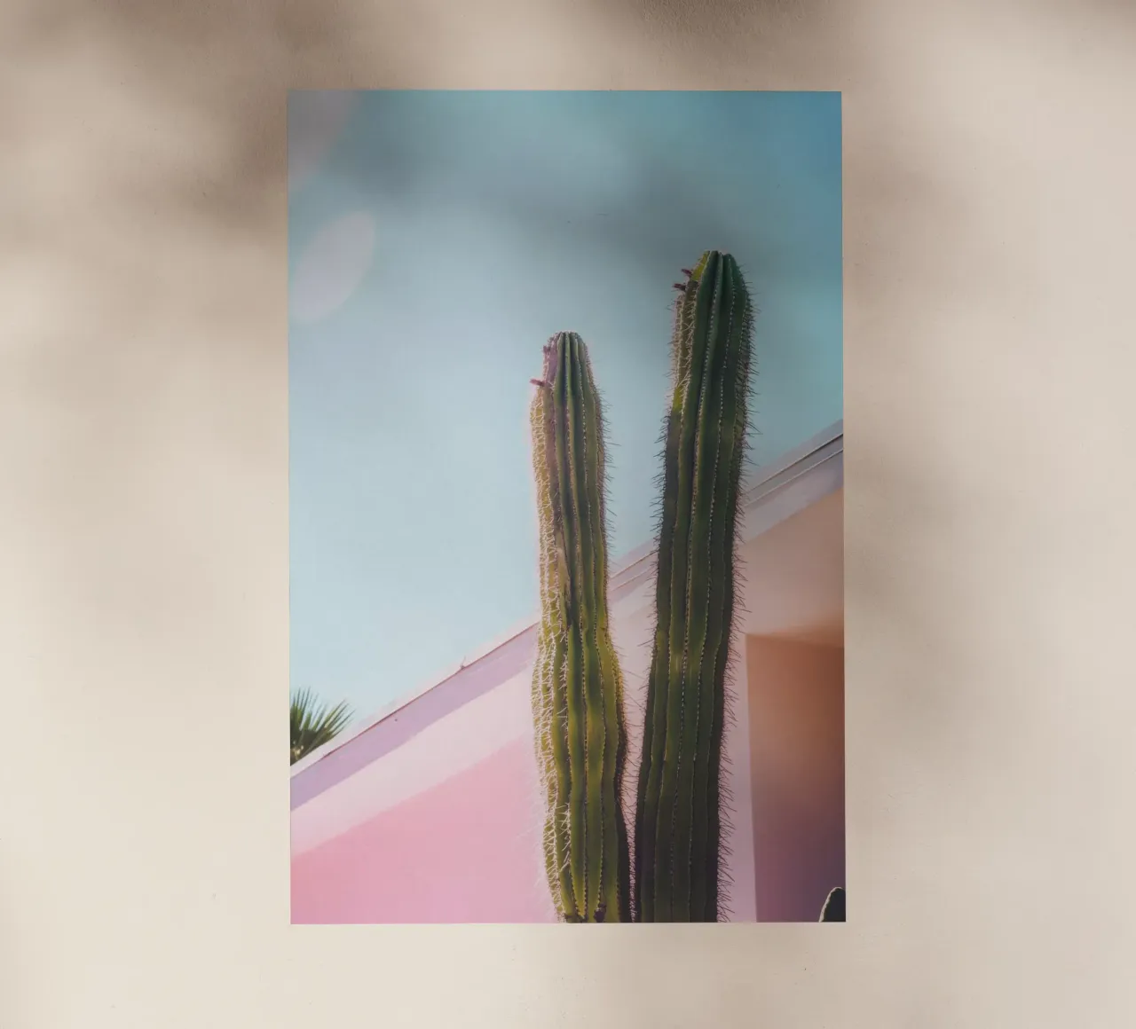 8 pellicola backlit da Pink California | Affiches & Posters