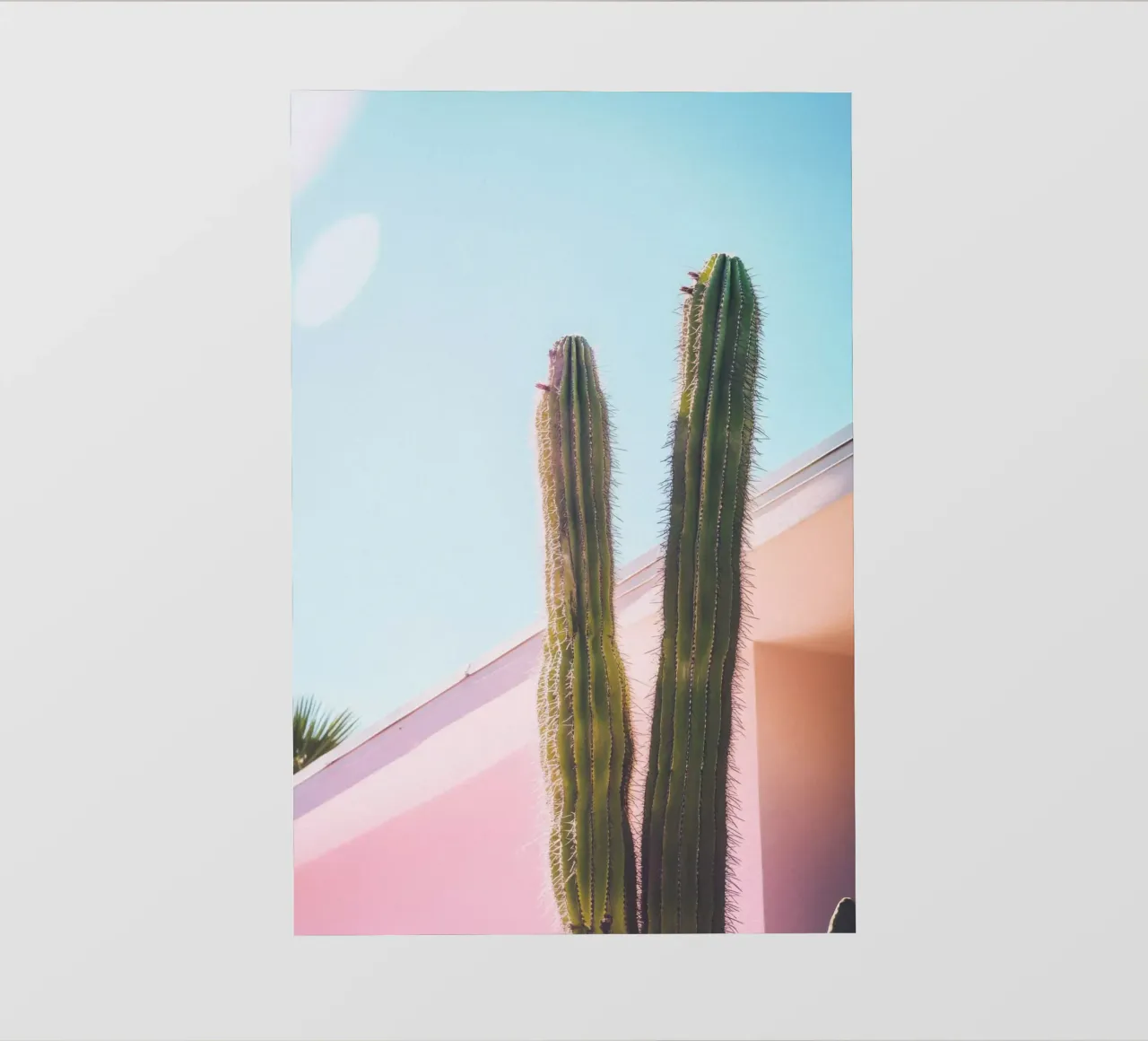 8 fotobehang van Pink California | Affiches & Posters
