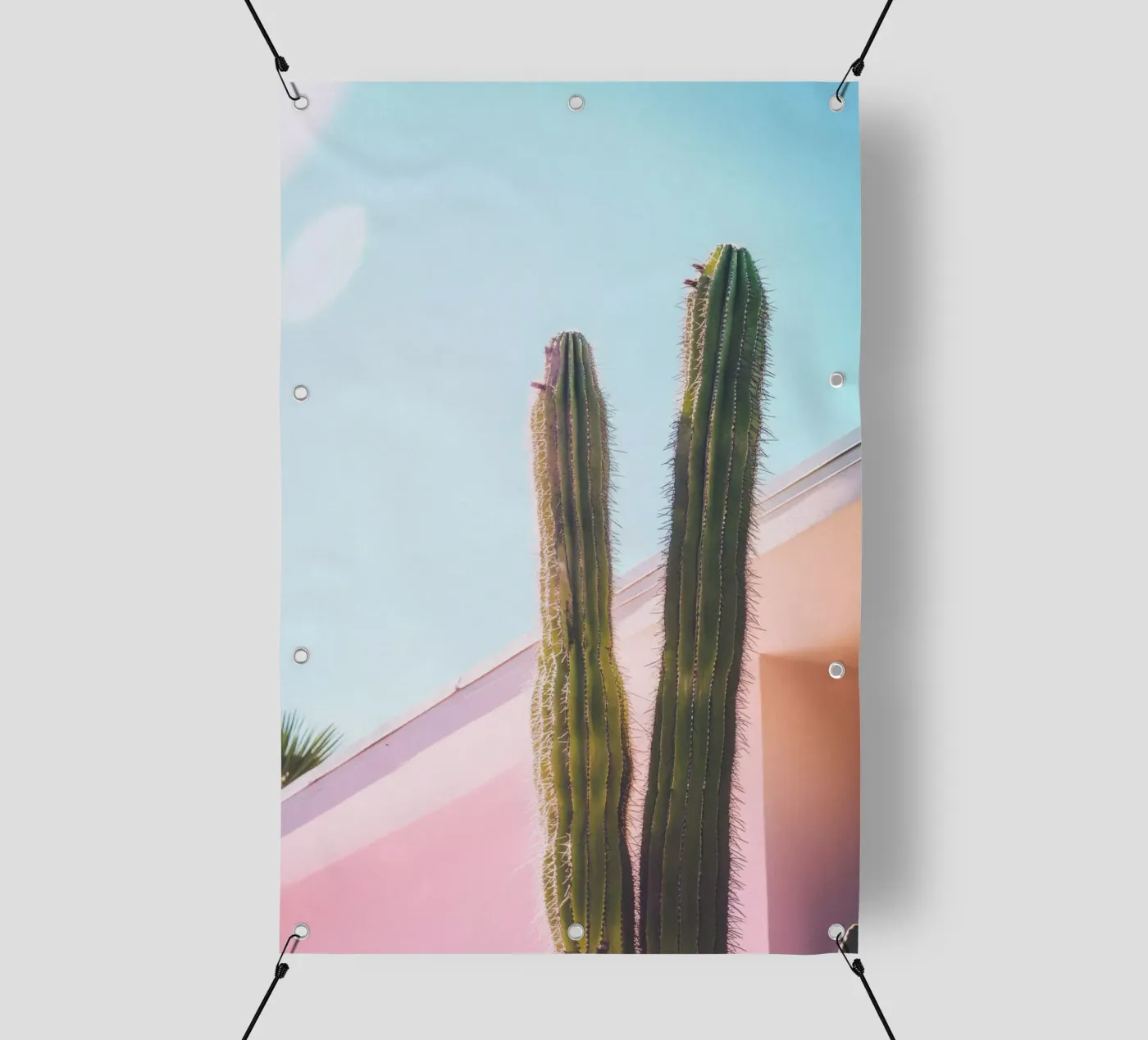 8 telo in pvc da Pink California | Affiches & Posters