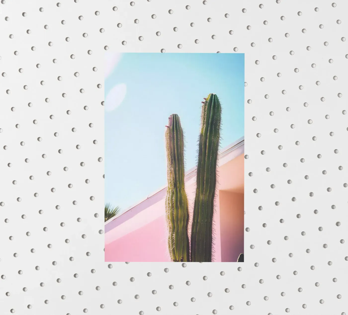 8 sticker van Pink California | Affiches & Posters