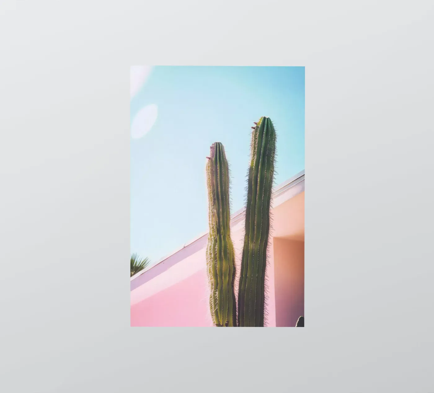 8 sticker van Pink California | Affiches & Posters