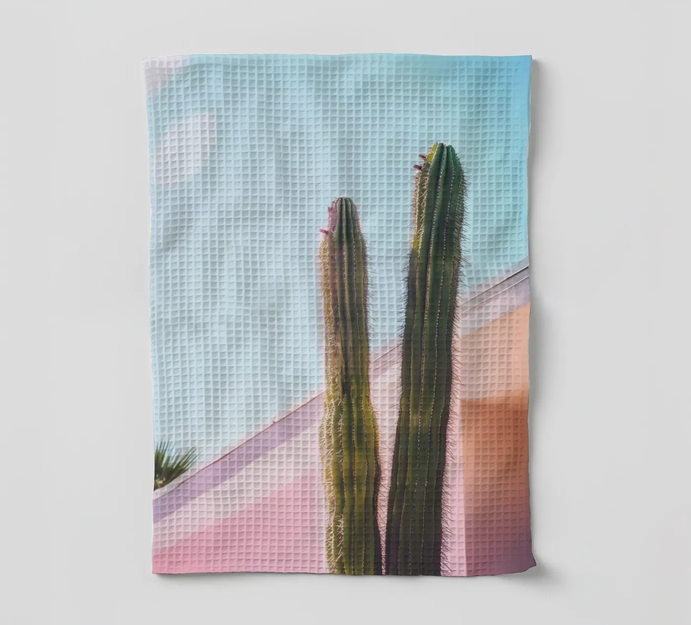 8 torchon de Pink California | Affiches & Posters