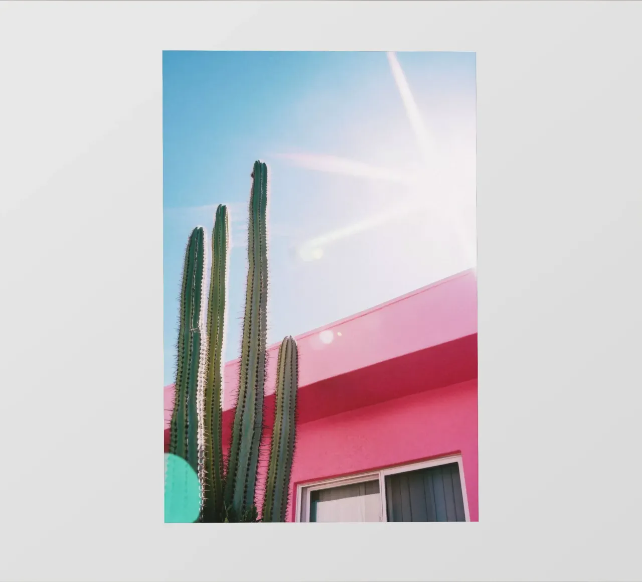 9 fotobehang van Pink California | Affiches & Posters