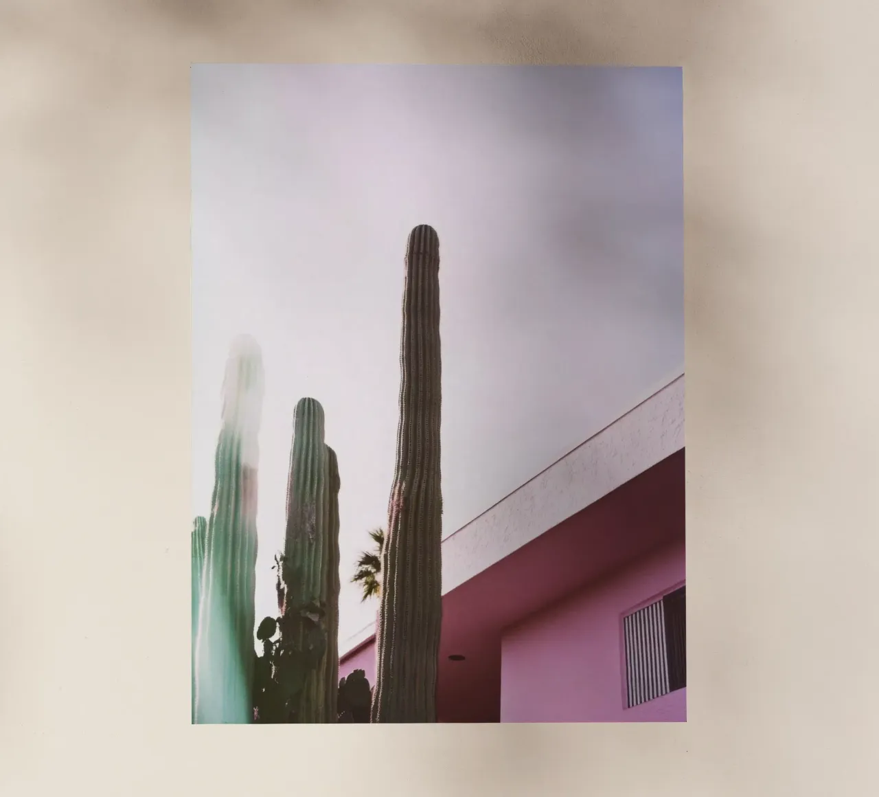 10 pellicola backlit da Pink California | Affiches & Posters