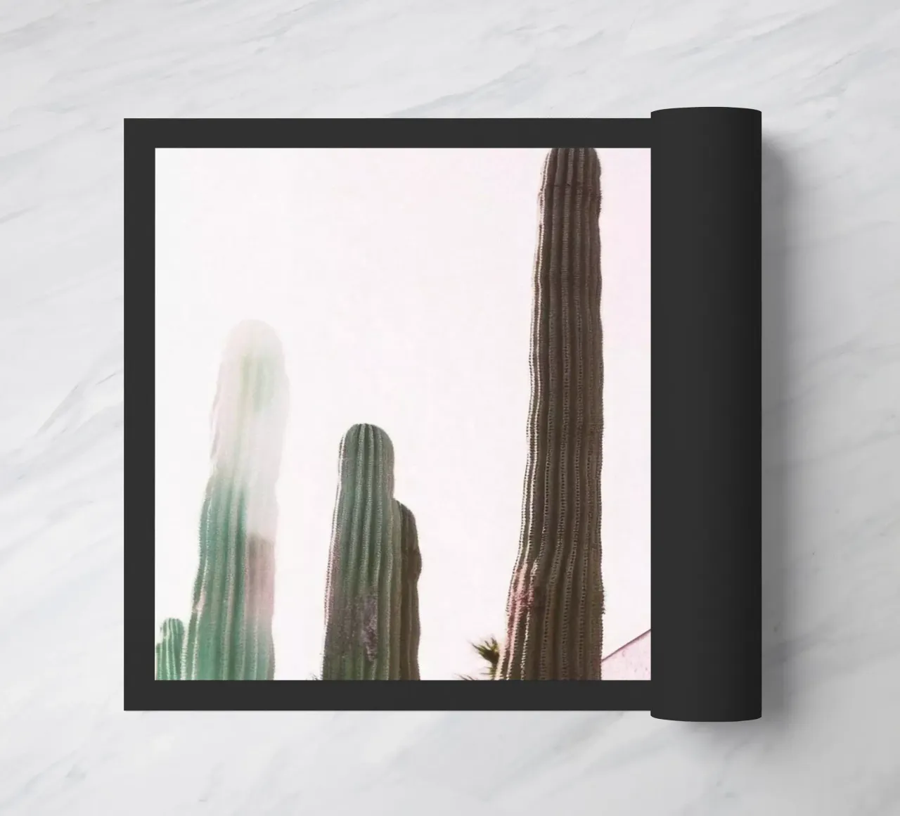 10 zerbino da Pink California | Affiches & Posters