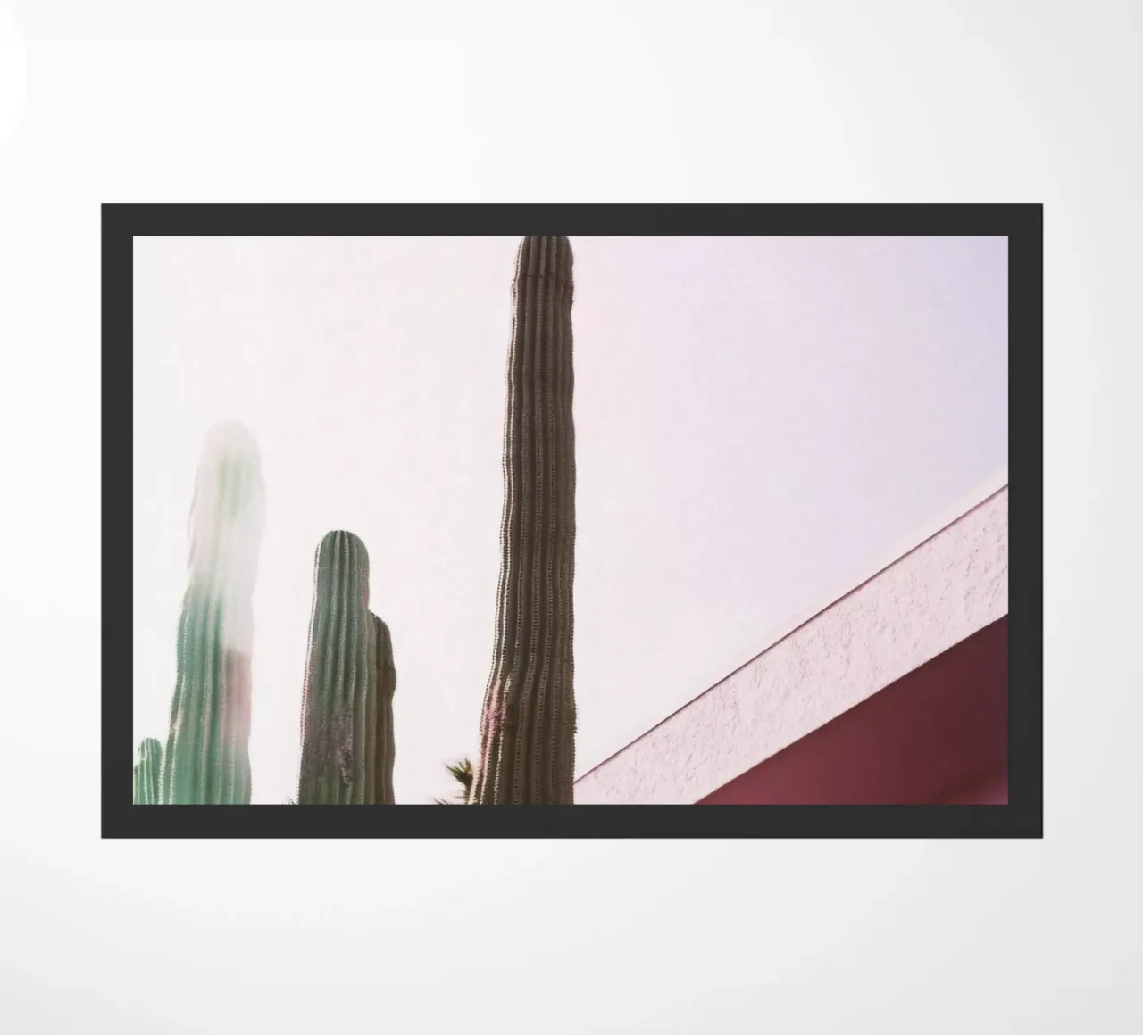 10 zerbino da Pink California | Affiches & Posters