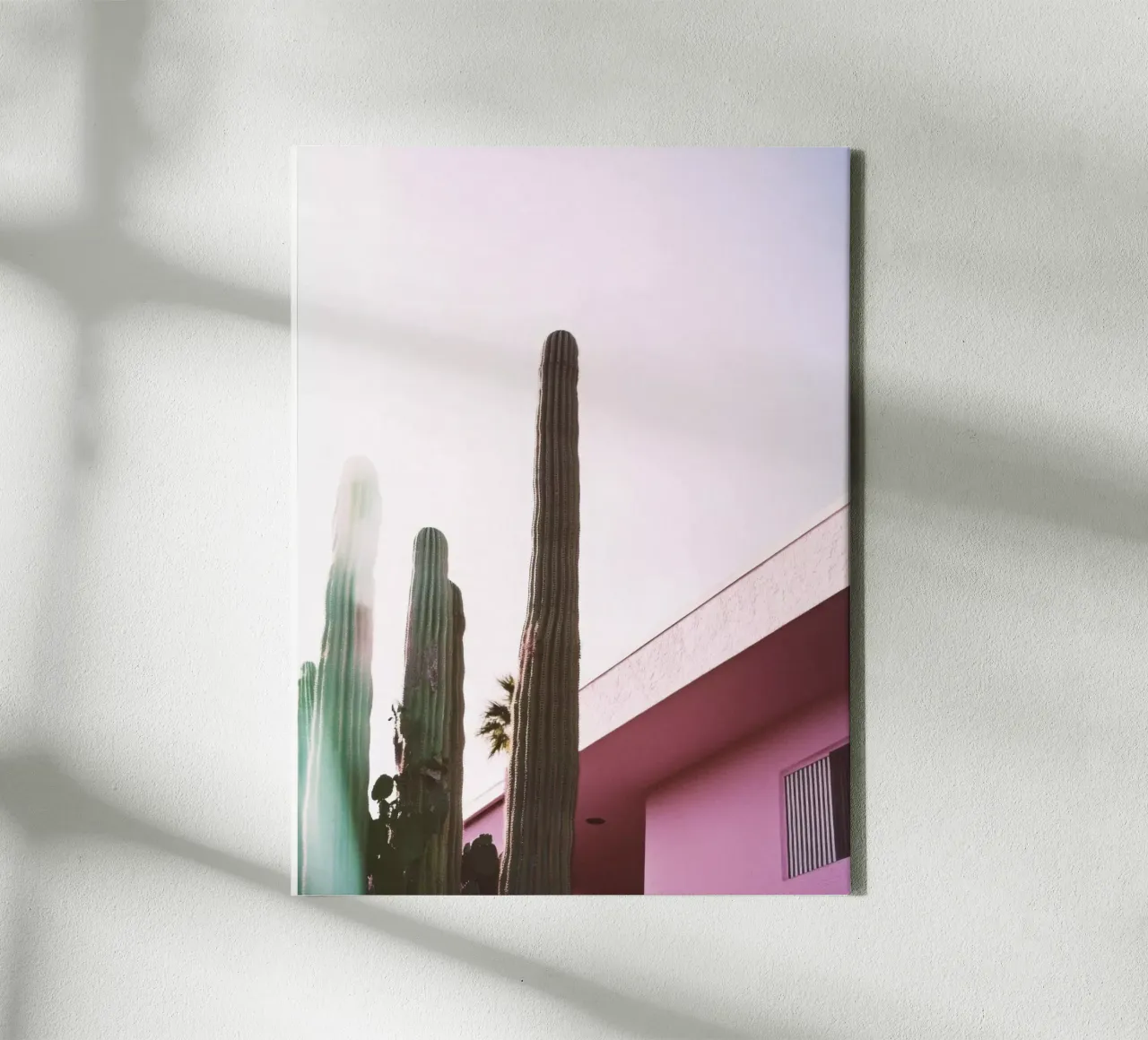 10 tela da Pink California | Affiches & Posters