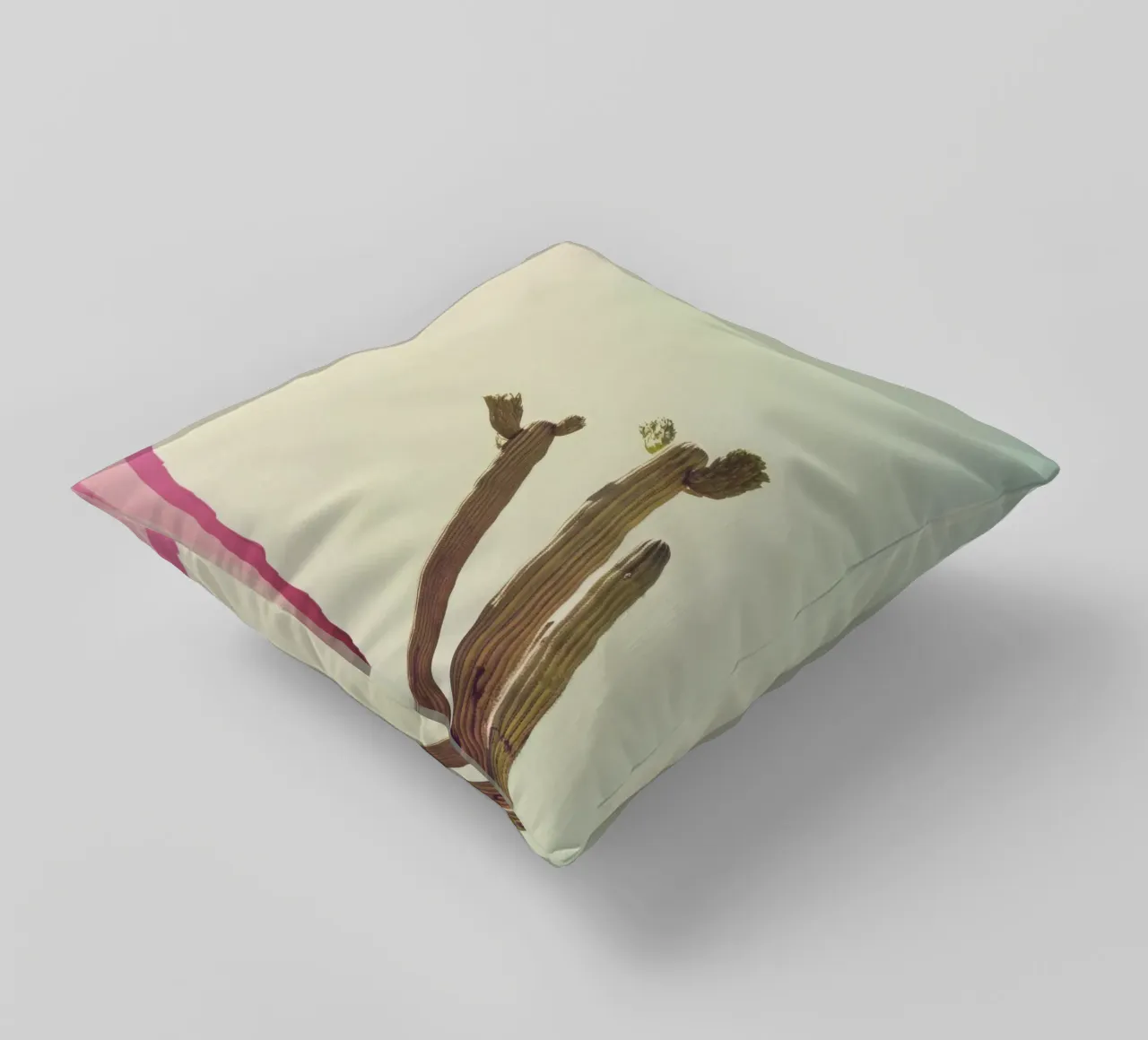 12 cuscino da Pink California | Affiches & Posters