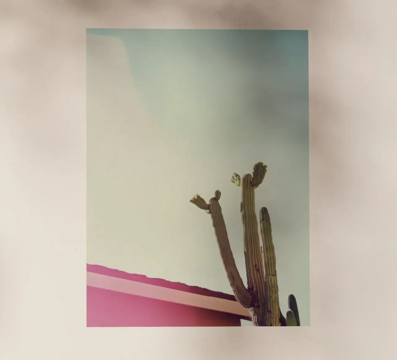 12 pellicola backlit da Pink California | Affiches & Posters