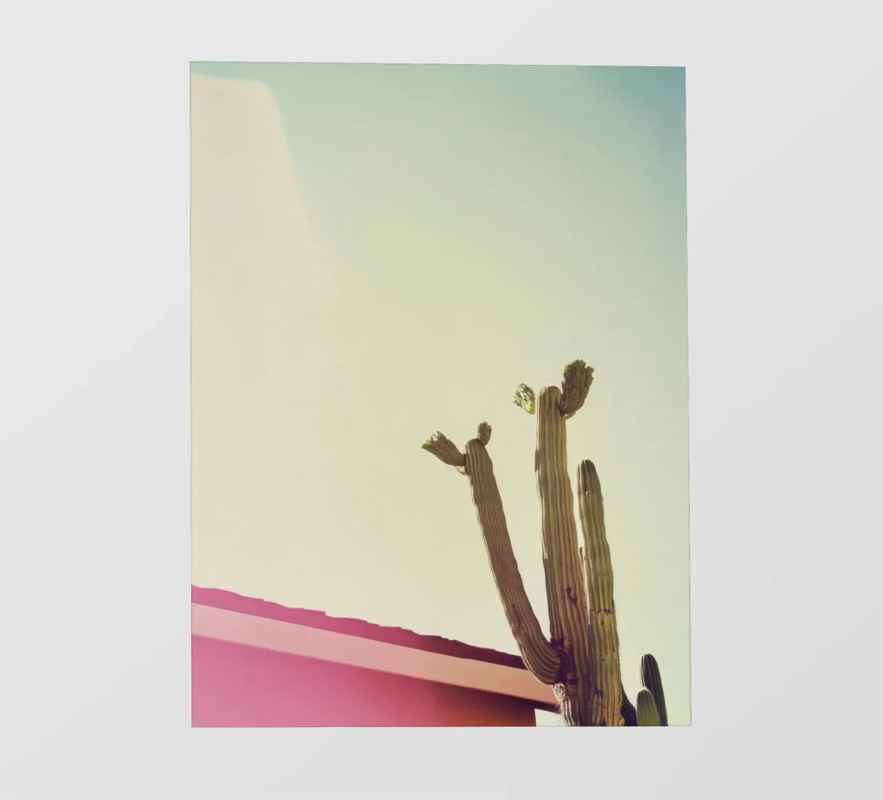 12 pellicola backlit da Pink California | Affiches & Posters