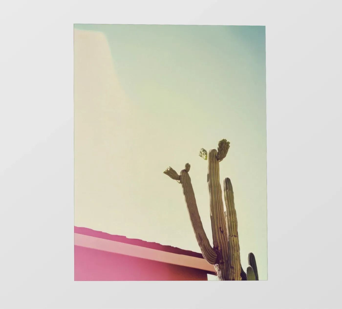 12 fotobehang van Pink California | Affiches & Posters
