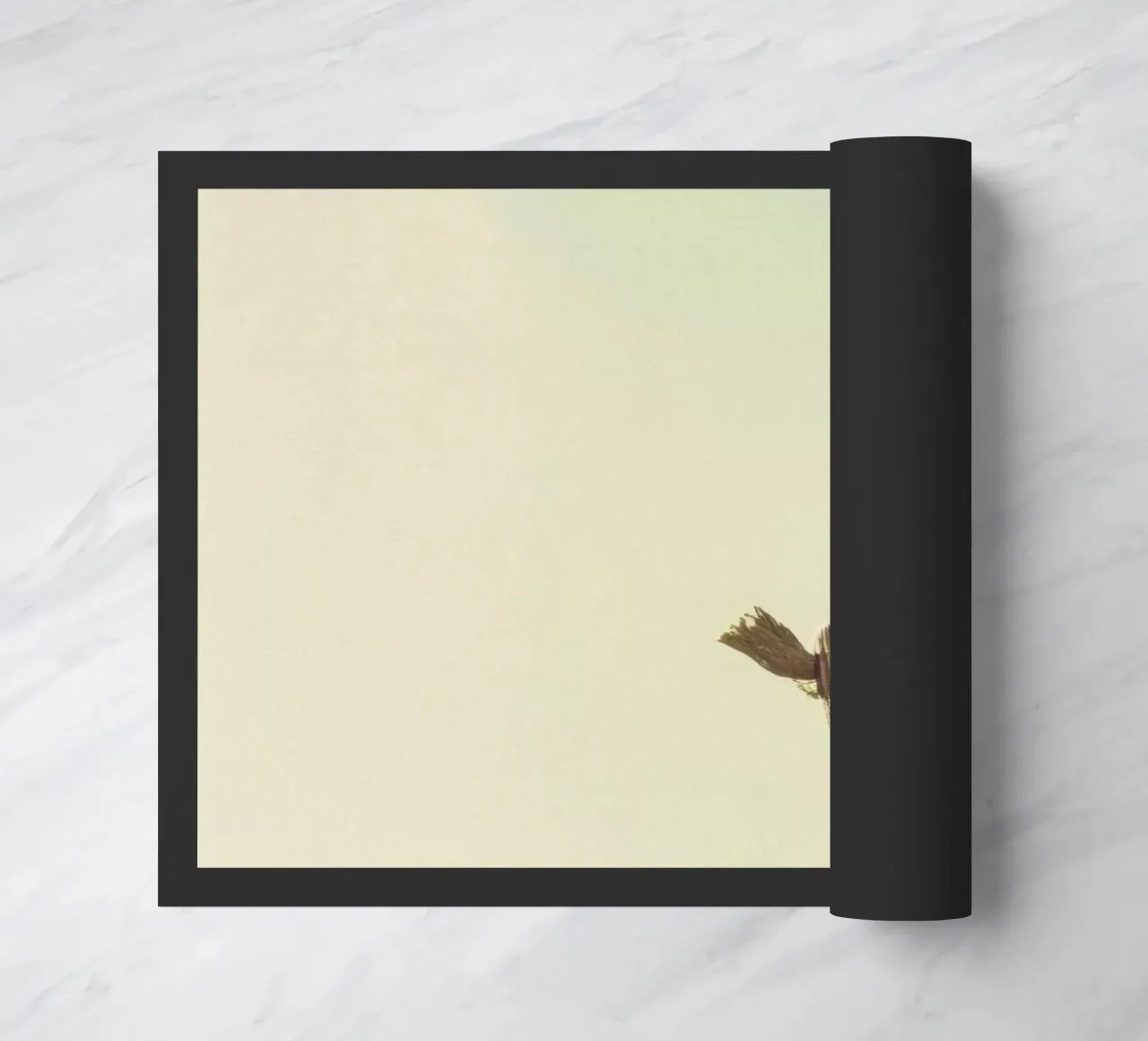 12 zerbino da Pink California | Affiches & Posters