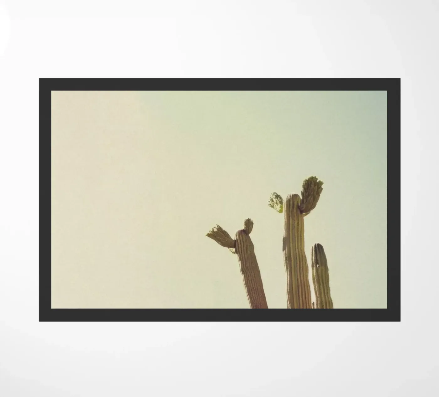 12 deurmat van Pink California | Affiches & Posters