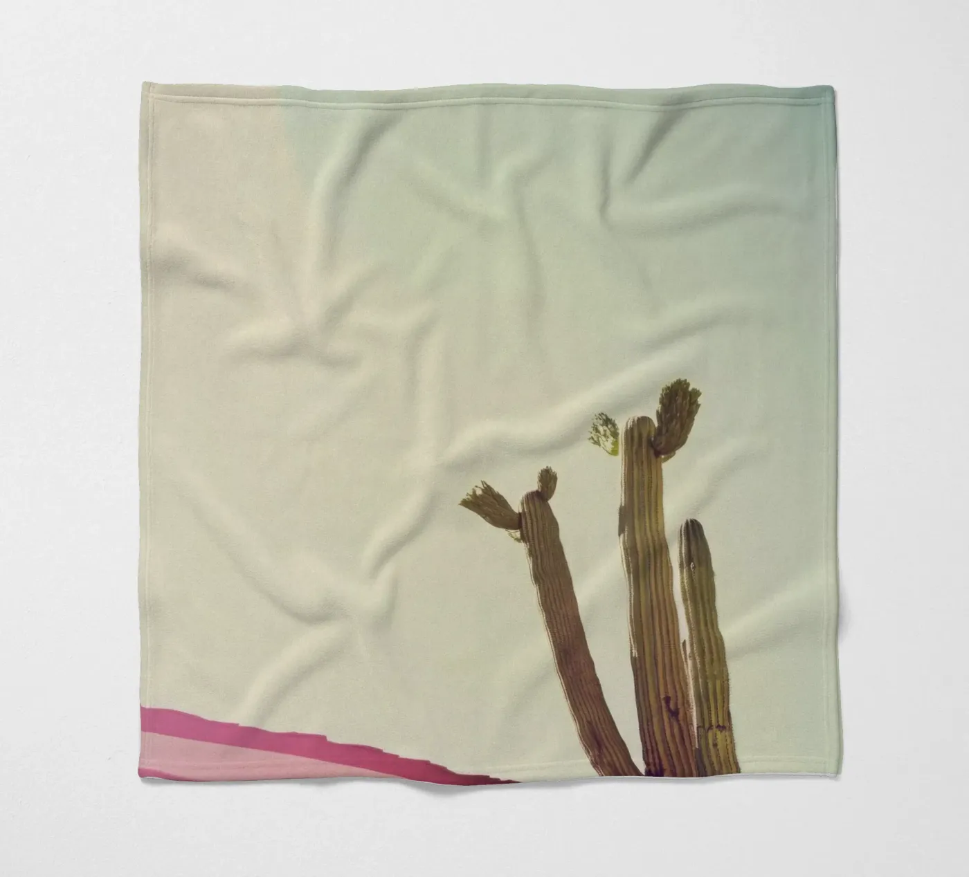 12 Fleecedecke von Pink California | Affiches & Posters