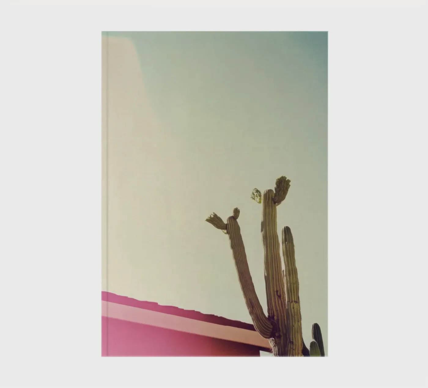 12 notebook by Pink California | Affiches & Posters