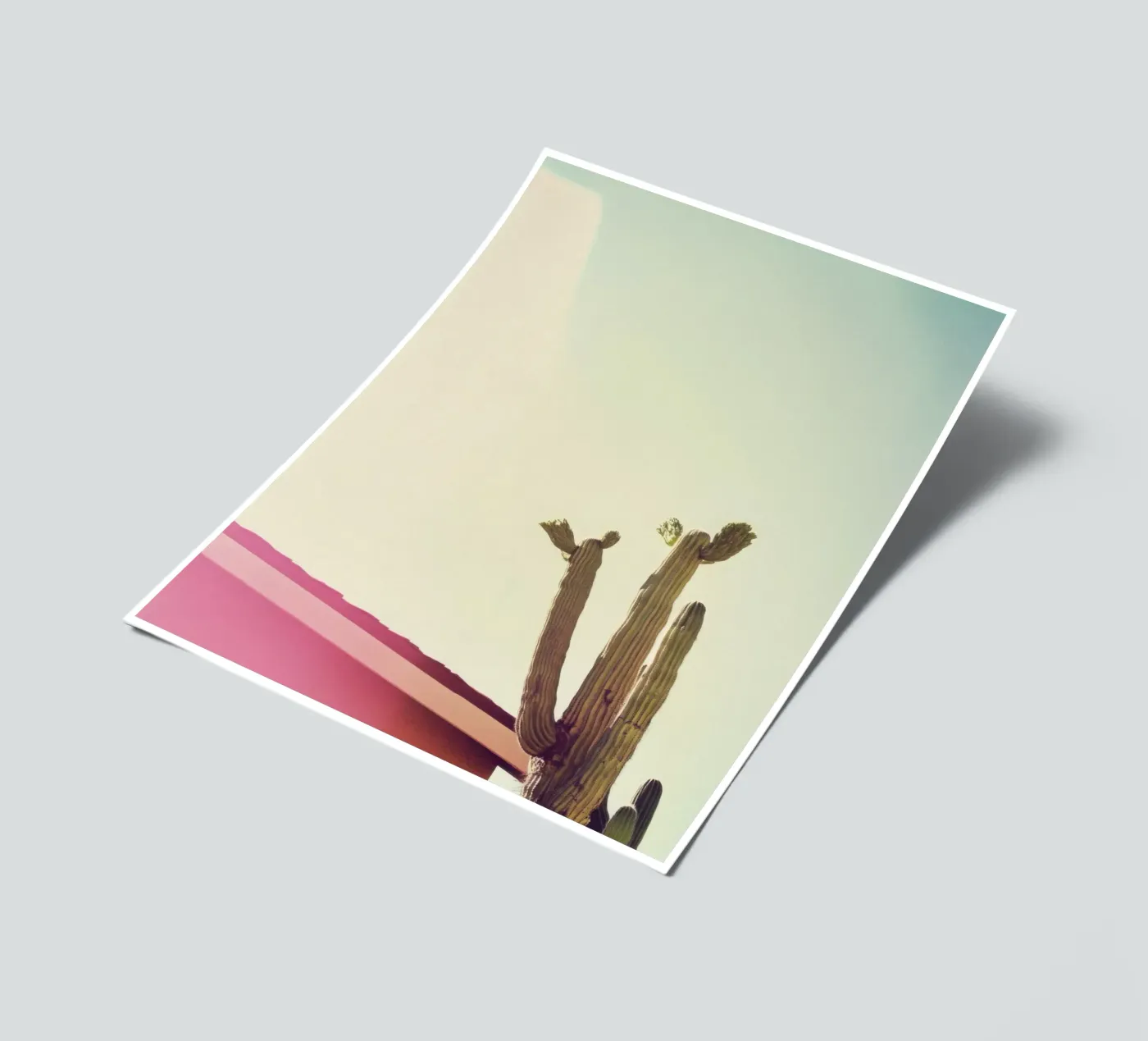 12 stickervel van Pink California | Affiches & Posters