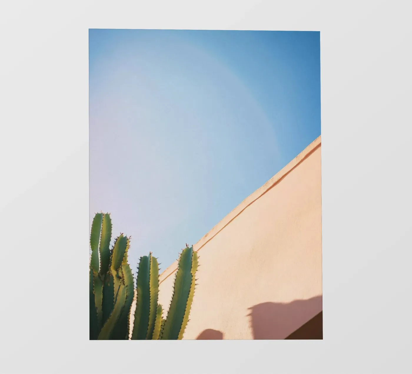 13 fotobehang van Pink California | Affiches & Posters
