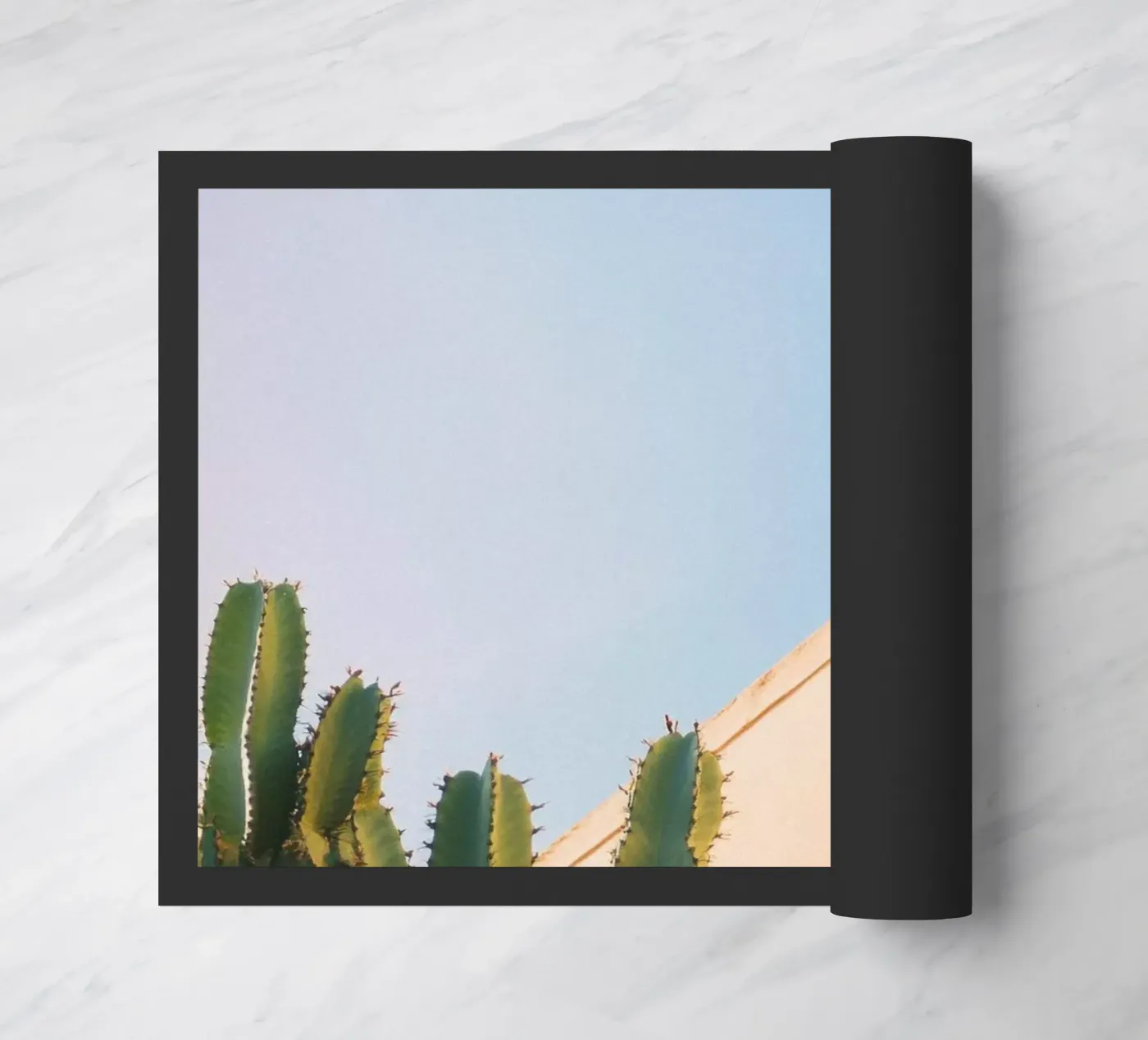 13 zerbino da Pink California | Affiches & Posters