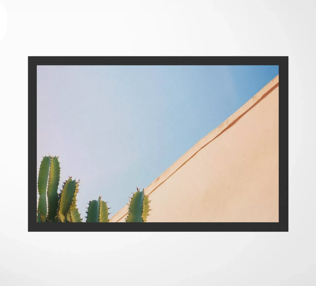 13 zerbino da Pink California | Affiches & Posters